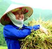 Chùm tứ tuyệt của Quang Huỳnh